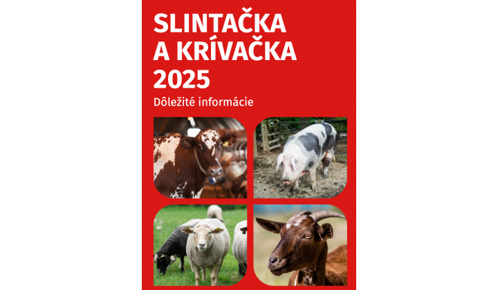SLINTAČKA A KRÍVAČKA 2025
